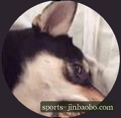 吴鑫